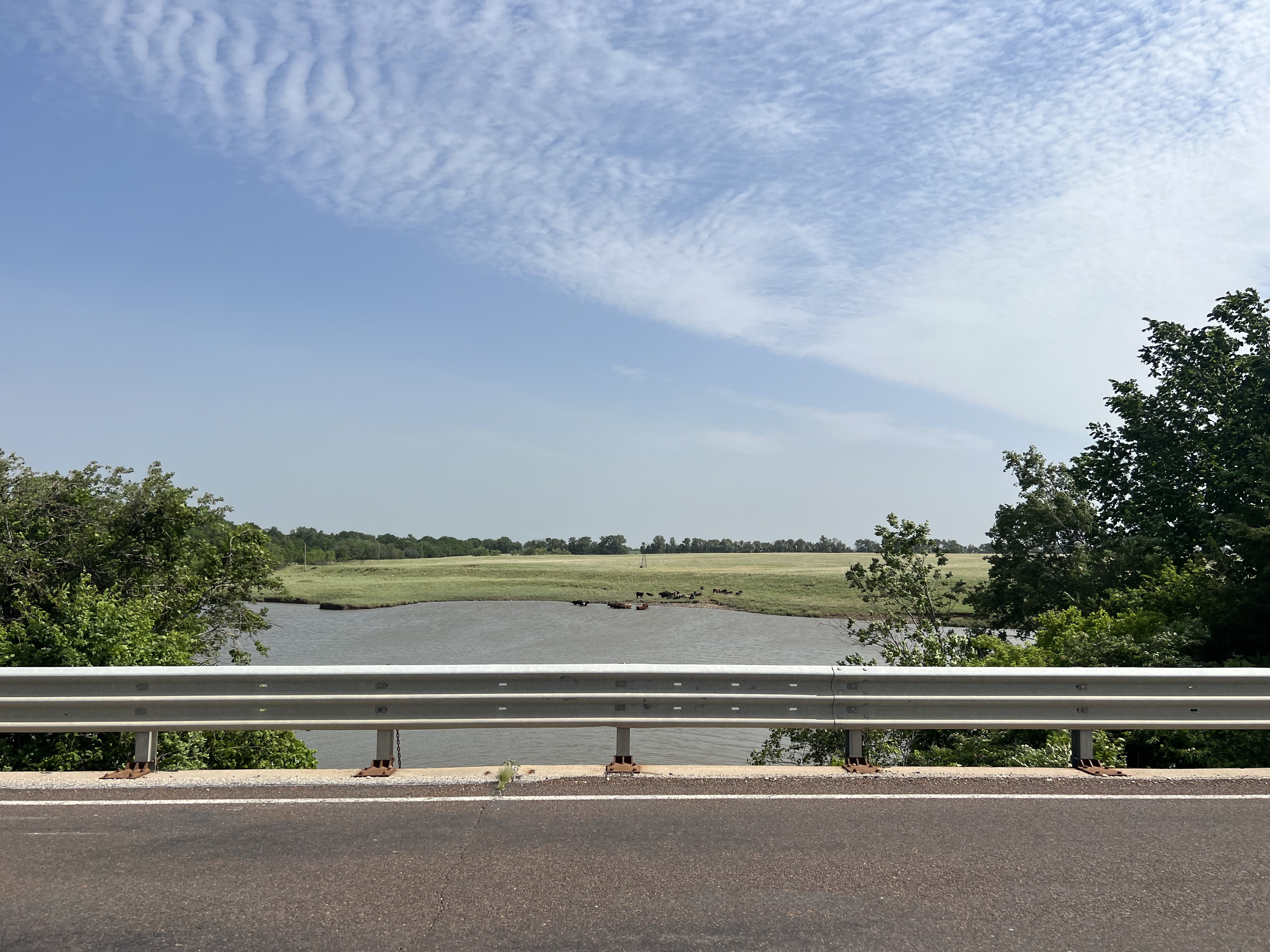 Picture of cows in the distance cooling off at the edge of a pond with a windmill nearby